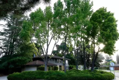 3631 Harpers Ferry Dr, Stockton, CA 95219