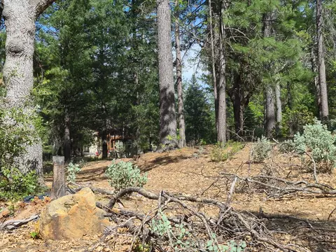 46 Ringtail Rd, Georgetown, CA 95634 photo 3