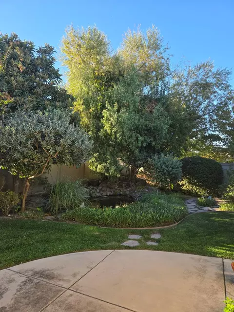 Exterior - 2489 Pepper Tree Ln, Manteca, CA 95336 photo 9 of 10