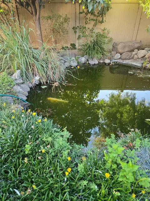 Other - 2489 Pepper Tree Ln, Manteca, CA 95336 photo 4 of 4