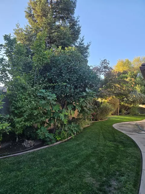 Exterior - 2489 Pepper Tree Ln, Manteca, CA 95336 photo 8 of 10