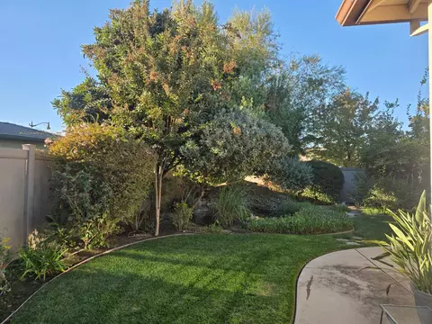 Exterior - 2489 Pepper Tree Ln, Manteca, CA 95336 photo 7 of 10