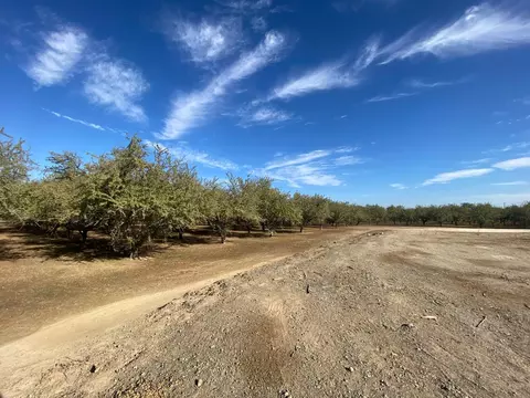 1925 Moran Rd, Crows Landing, CA 95313 photo 5