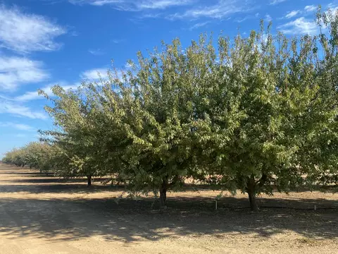 1925 Moran Rd, Crows Landing, CA 95313 photo 2