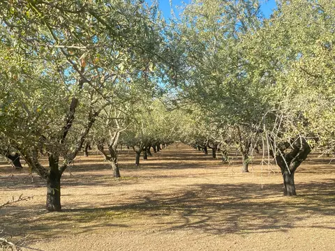 1925 Moran Rd, Crows Landing, CA 95313 photo 3