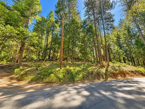 2221 Forebay Rd, Pollock Pines, CA 95726 photo 2