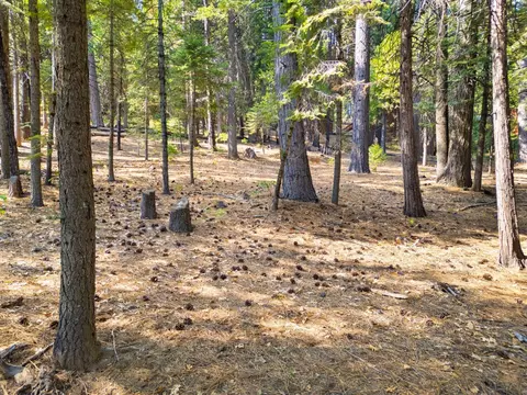 3730 Apache Rd, Dorrington, CA 95223 photo 9
