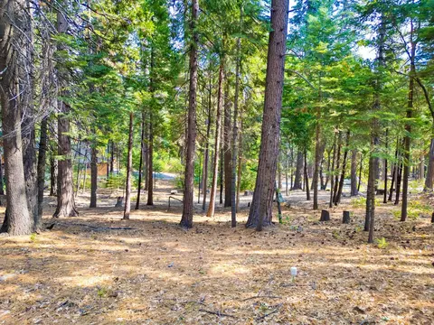 3730 Apache Rd, Dorrington, CA 95223 photo 4