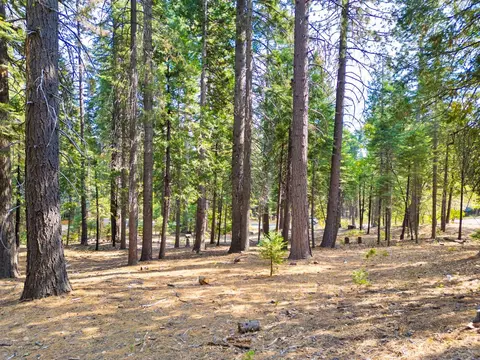 3730 Apache Rd, Dorrington, CA 95223 photo 3