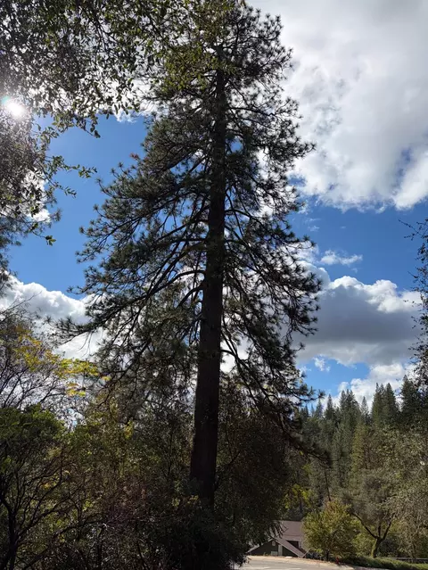 860 Poverty Hill Dr, Placerville, CA 95667 photo 13