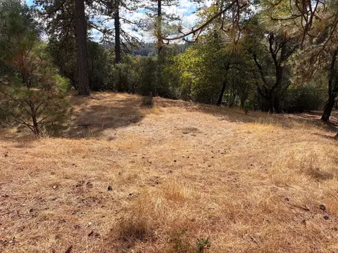 860 Poverty Hill Dr, Placerville, CA 95667 photo 6
