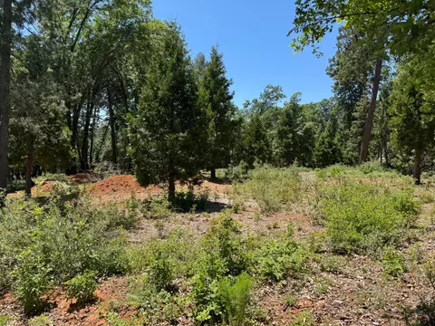 20710 Foresthill Rd, Foresthill, CA 95631 photo 3