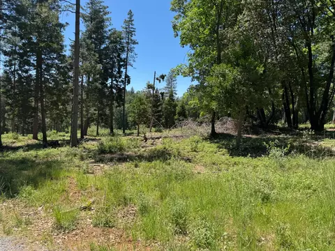 20710 Foresthill Rd, Foresthill, CA 95631 photo 6
