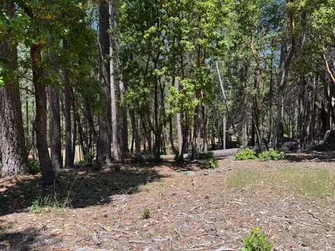 20945 Todd Valley Rd, Foresthill, CA 95631 photo 5