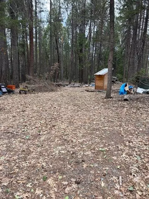 0 Bearfoot Rd, Georgetown, CA 95634 photo 6