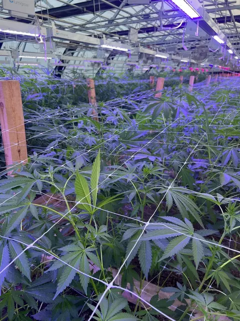 Undisclosed, Grass Valley, CA 95949 photo 21