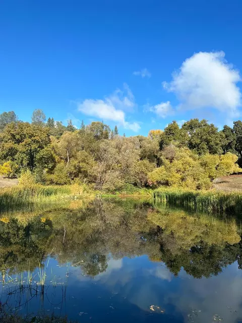 8653 Hidden Valley Rd, Mountain Ranch, CA 95246 photo 45