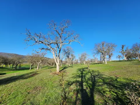 1013 Knolls Dr, Copperopolis, CA 95228 photo 22