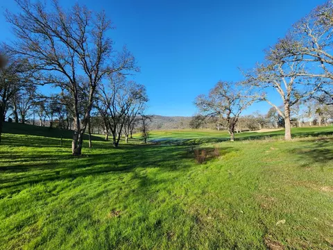 1013 Knolls Dr, Copperopolis, CA 95228 photo 13