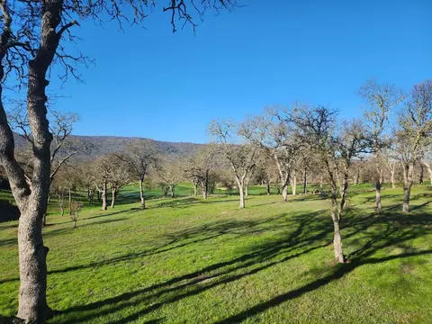 1013 Knolls Dr, Copperopolis, CA 95228 photo 24