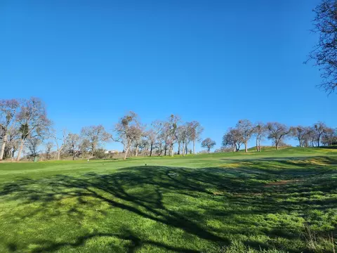 1013 Knolls Dr, Copperopolis, CA 95228 photo 18