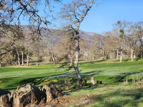 1013 Knolls Dr, Copperopolis, CA 95228 photo 8