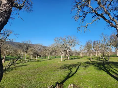 1013 Knolls Dr, Copperopolis, CA 95228 photo 23
