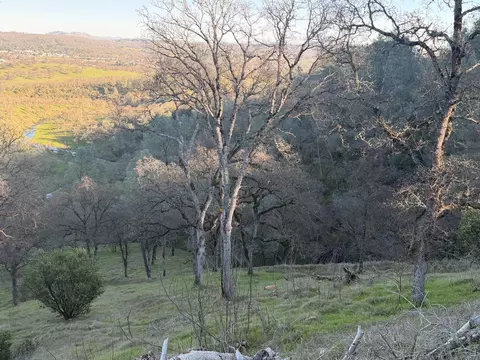 0 2291 Basket Ln, Copperopolis, CA 95228 photo 38