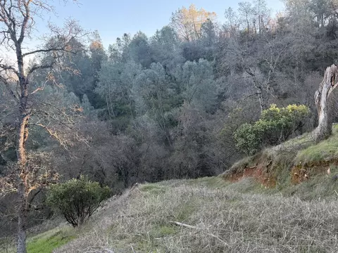 0 2291 Basket Ln, Copperopolis, CA 95228 photo 39
