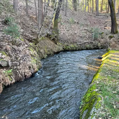 369 Canyon View Dr, Hathaway Pines, CA 95233