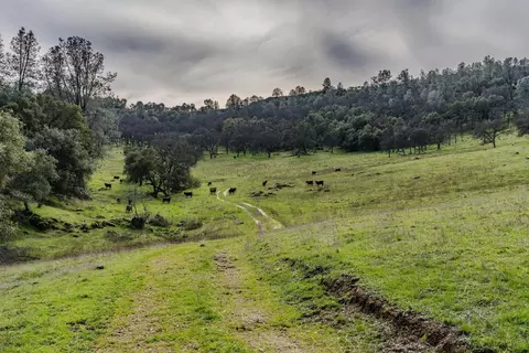 0 Little John Rd, Copperopolis, CA 95228 photo 26