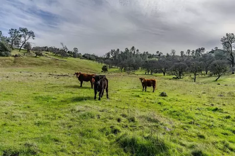 0 Little John Rd, Copperopolis, CA 95228 photo 25