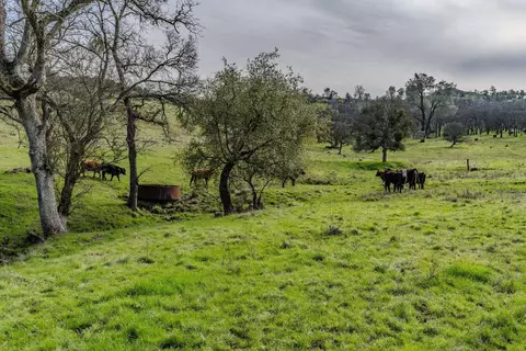 0 Little John Rd, Copperopolis, CA 95228 photo 20