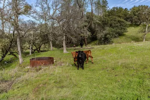 0 Little John Rd, Copperopolis, CA 95228 photo 24