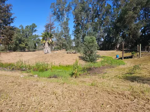 35634 Marciel Ave, Madera, CA 93636 photo 27