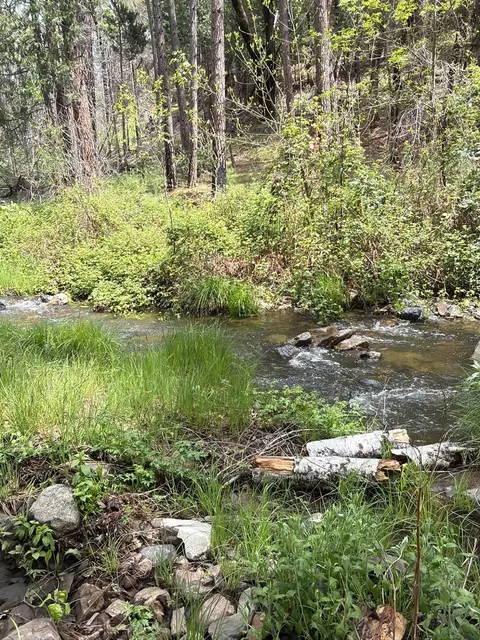 39 Anderson Valley Rd, Coulterville, CA 95311