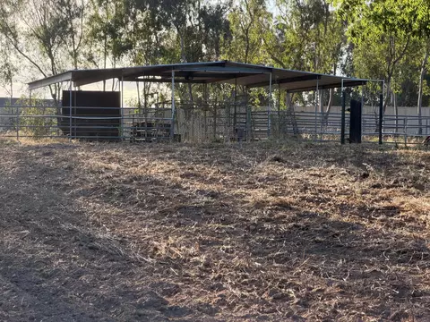 16638 Mark Rd, Madera, CA 93636 photo 21