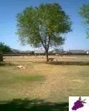 1933 Alluvial Ave, Clovis, CA 93611 photo 1