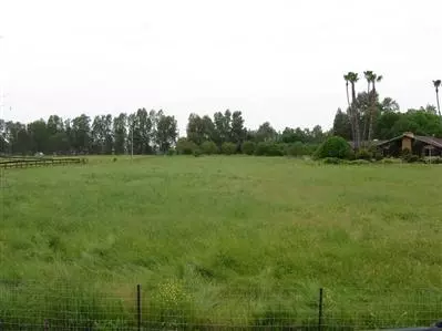 6329 N Amber Ave, Clovis, CA 93619 photo 3