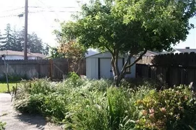 445 N 13th St, Chowchilla, CA 93610 photo 3