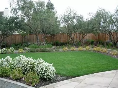 425 W Kelly Ave, Clovis, CA 93611 photo 6