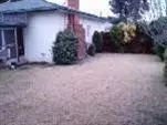 2107 Vine St, Sanger, CA 93657 photo 2