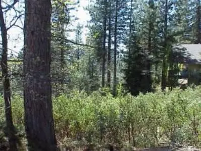 2629 Ruth, Arnold, CA 95223 photo 6
