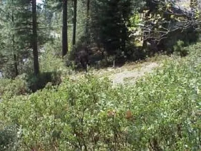 2629 Ruth, Arnold, CA 95223 photo 5