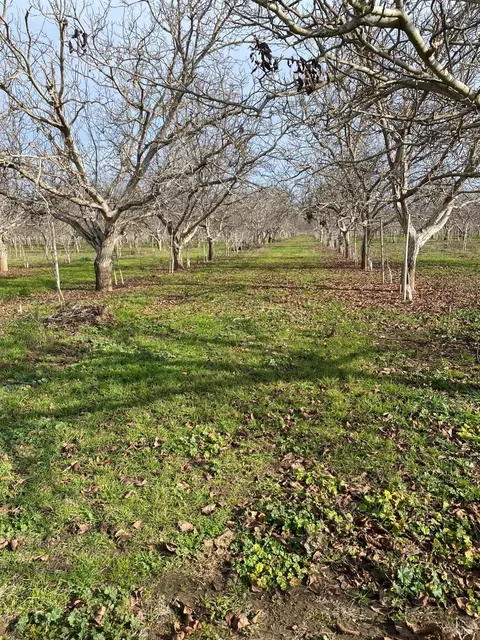 9192 Boyce Rd, Winters, CA 95694 photo 1
