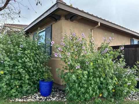 635 W Cherry St, Dixon, CA 95620 photo 4