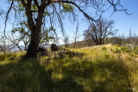 0 Pine Flat Rd, Healdsburg, CA 94515 photo 45