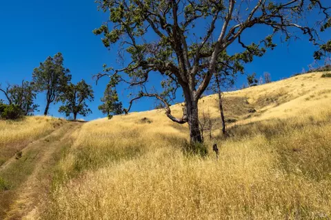 0 Pine Flat Rd, Healdsburg, CA 94515 photo 39