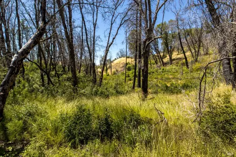0 Pine Flat Rd, Healdsburg, CA 94515 photo 51