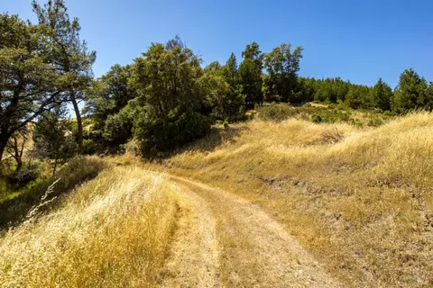 0 Pine Flat Rd, Healdsburg, CA 94515 photo 29